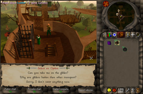 Asking the gnome pilot on top of the Grand Tree for a glider flight