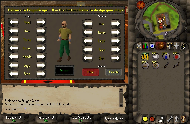 The design screen where you choose your look