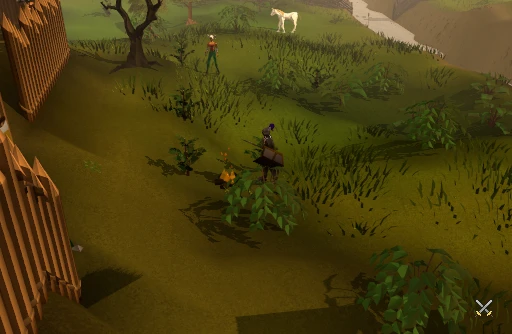 A fire lit by Barbarian Village