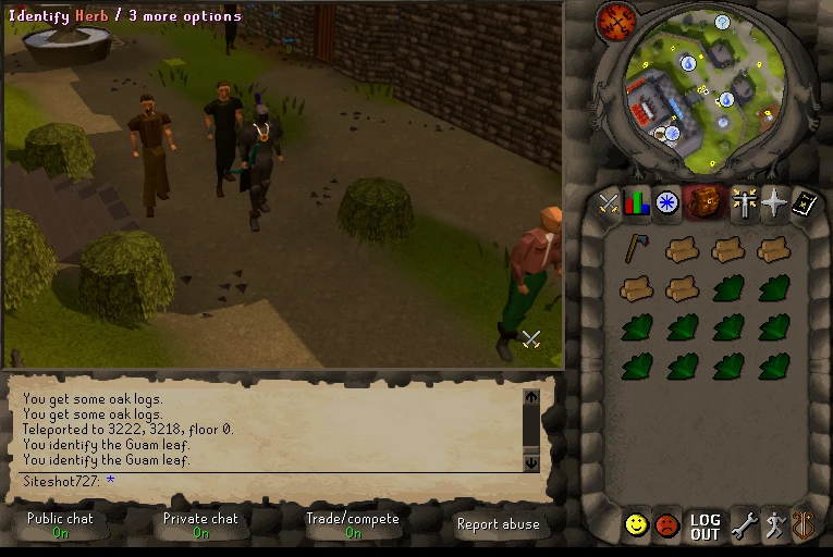 Identifying herbs in Lumbridge