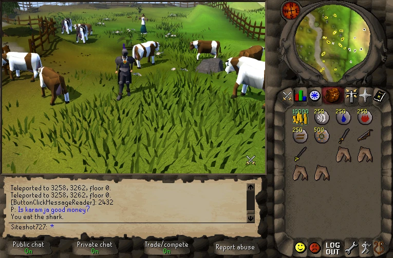 Eating a shark in the Lumbridge cow field