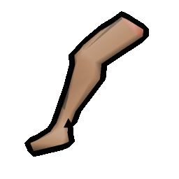Severed leg