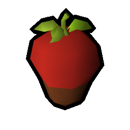 Chocolate strawberry