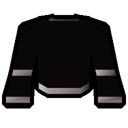 Black wizard robe (t)