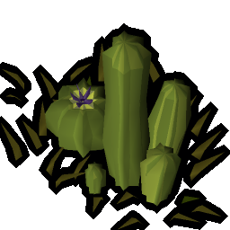Desert habitat