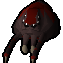 Venenatis spiderling
