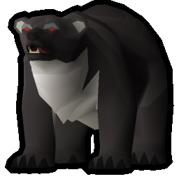 Callisto cub