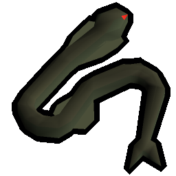 Sacred eel