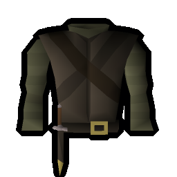 Clue hunter garb