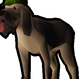 Bloodhound