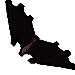 Burnt bat