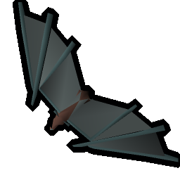 Raw murng bat (5)