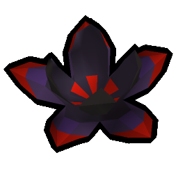 Buchu leaf