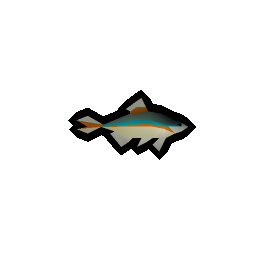Minnow