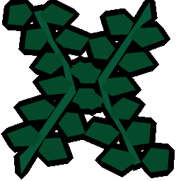 Giant seaweed