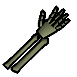 Small fossilised limbs