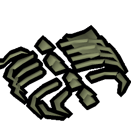 Small fossilised ribs