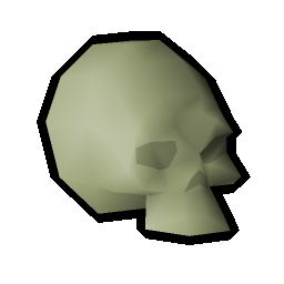 Small fossilised skull