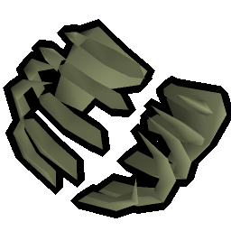 Medium fossilised ribs