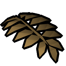 Fossilised leaf