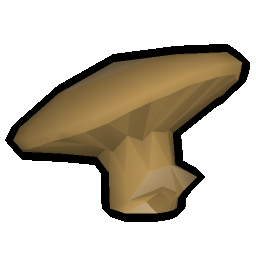 Fossilised mushroom