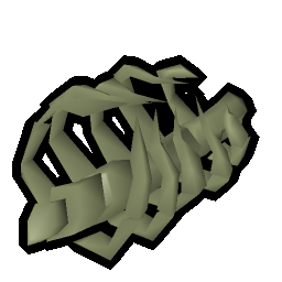 Large fossilised ribs