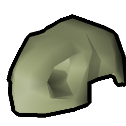 Large fossilised skull