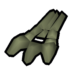 Rare fossilised limbs