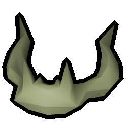 Rare fossilised skull