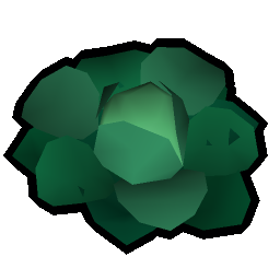 Rotten cabbage