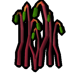 Bryophyta's essence