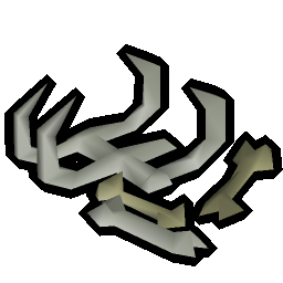 Wyrm bones