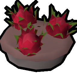 Uncooked dragonfruit pie