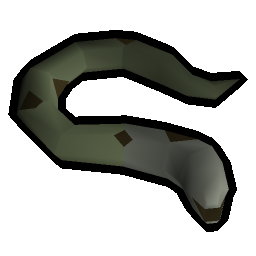 Mottled eel