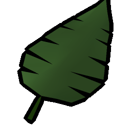 Palm leaf