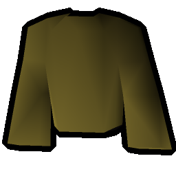 Shaman robe