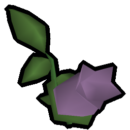 Nightshade