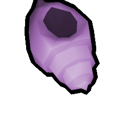 Conch shell