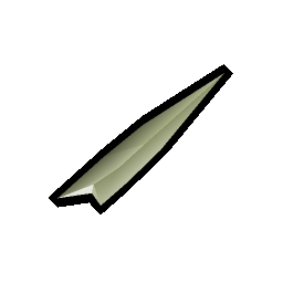Bone fragments
