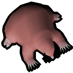Baby Mole-rat