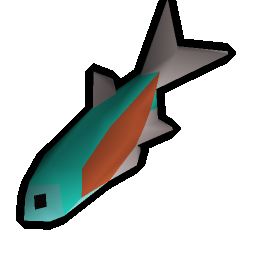 Raw tetra
