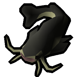 Raw catfish