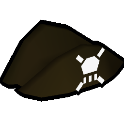 Pirate's hat
