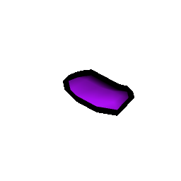 Quality violet tulip seed