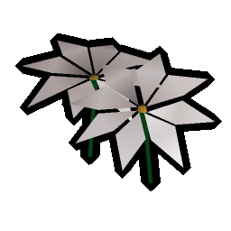 Lily of the Sands