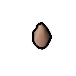 Dawn scarab egg
