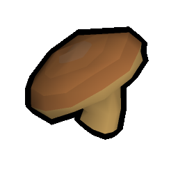 Musca mushroom