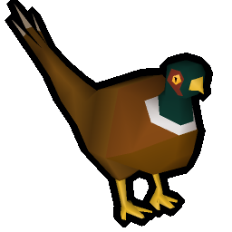 Pheasant