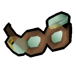 Prescription goggles
