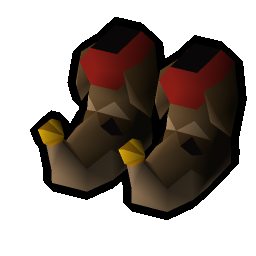 Dog boots